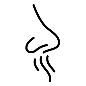 5684e71721088f2890.webp