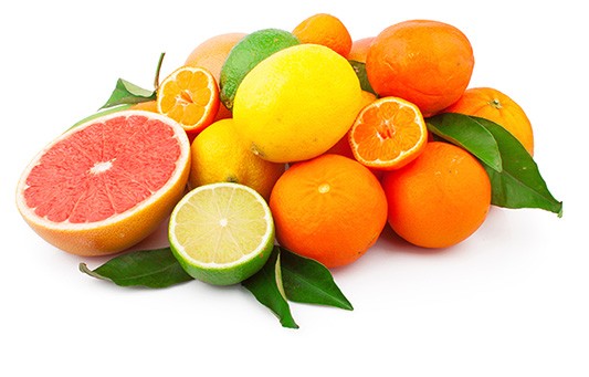 1693483628402_1645573517217_citrus_dt.jpg