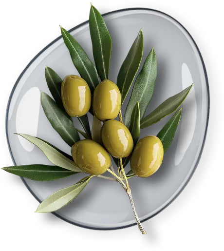Italian Olive Oil