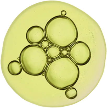 Retinyl Palmitate