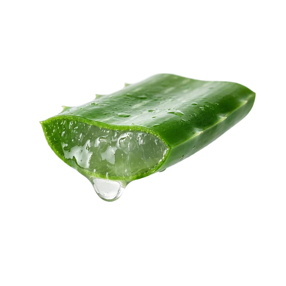 c2141a1f391c2bff67.webp
