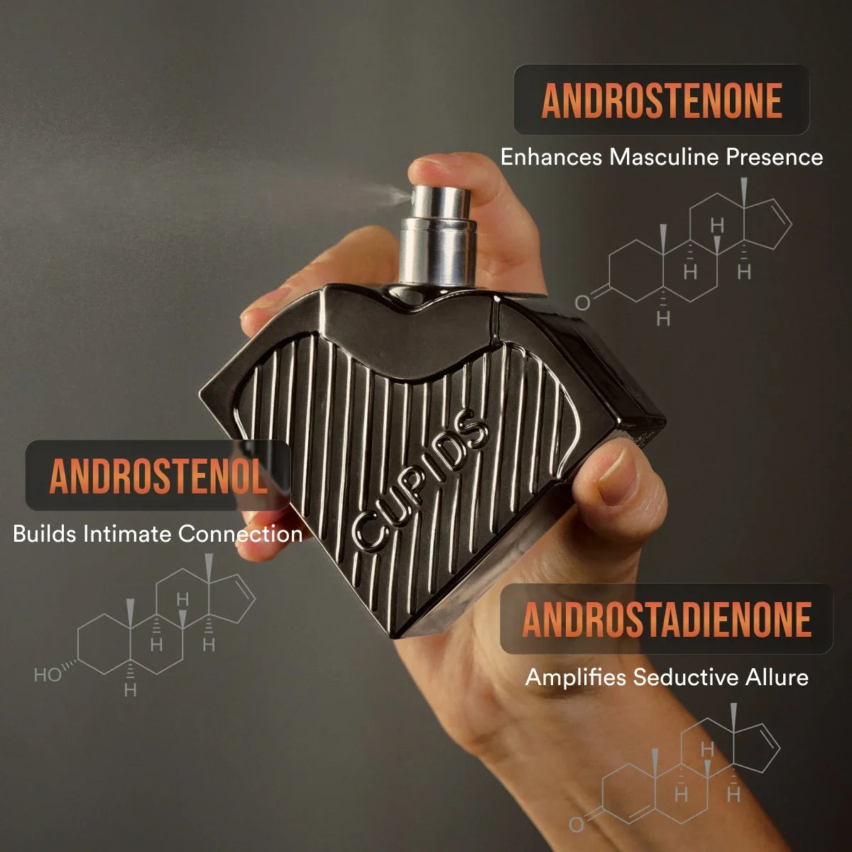 pt-127855dbec48-1780307086-pheromones.webp