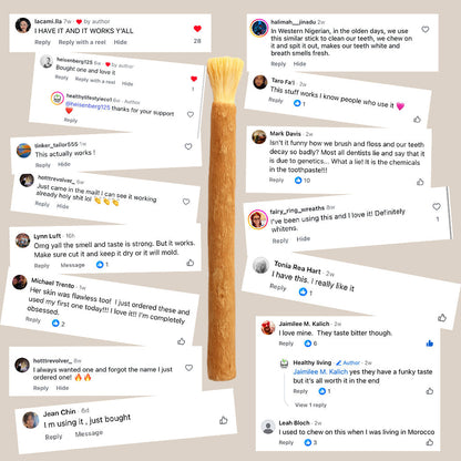 Miswak - Nature's Original Toothbrush